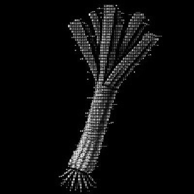 Leek formed from binary code